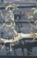Shadows on the Wooden Wall, 2013 (26x16cm) - painting by artist Gill Levin (ID438)